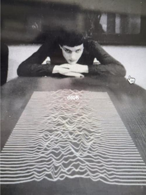 快乐分裂joydivision_音乐分享官_娱乐_音乐