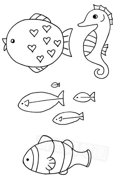 深海鱼怎么画简笔画图解
