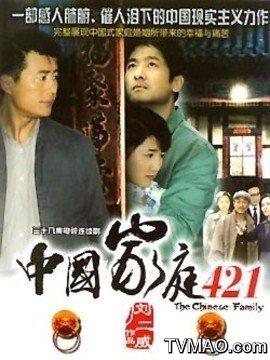 中国家庭421(电视剧)