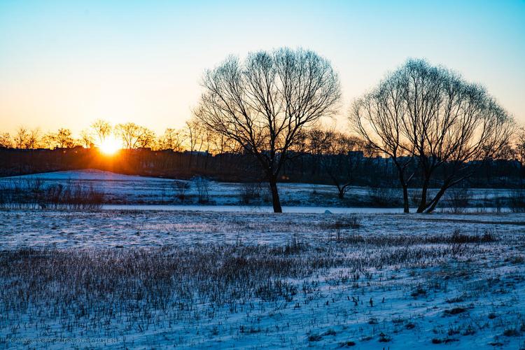 雪后的冬日早晨 风光 野外 草地 草原 雪原 无人 旷野 阿那亚 aranya