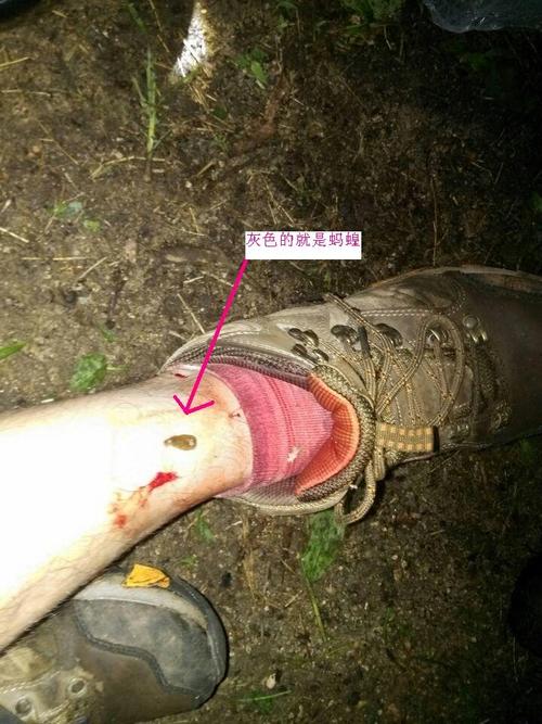 探秘大东山作业贴