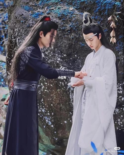 陈情令肖战王一博._陈情令_肖战_王一博_陈情令肖战王