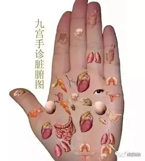 大鱼际|按摩|穴位_网易