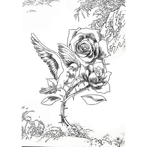 夜莺与玫瑰(精装插图典藏本)