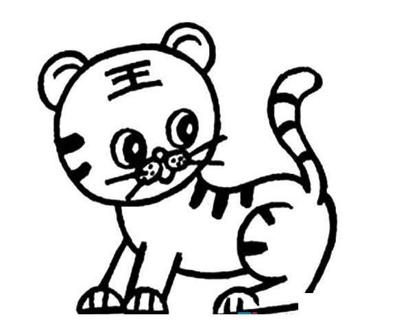怎么画小老虎卡通老虎的画法图片教程