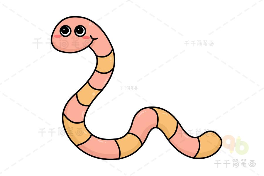 简单的蚯蚓简笔画