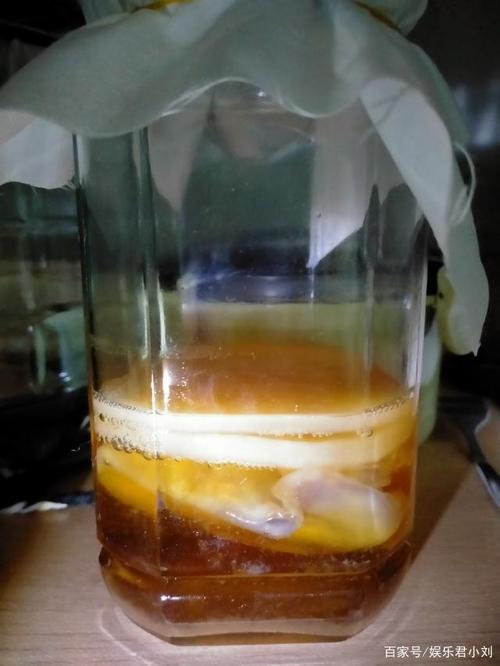 红茶菌:这样制作才好喝