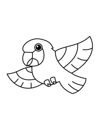 睡着的小鹦鹉简笔画