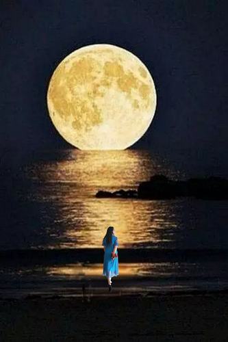 每逢佳节倍思亲