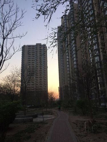 北京市丰台区丰桥路三环新城小区7号院14号天气预报