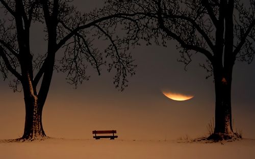 孤独的长椅唯美风景桌面壁纸 - 第1张