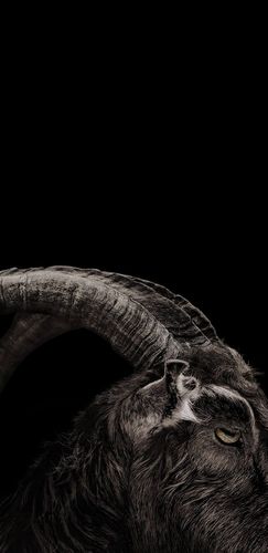 有没有man一些的4k手机壁纸?