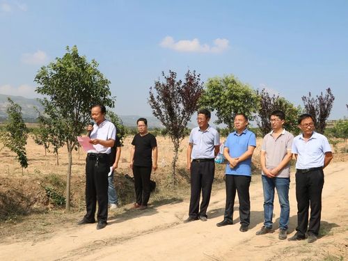 县水务局局长井涛,试验区镇长张景龙,县水保站站长王智武,副站长