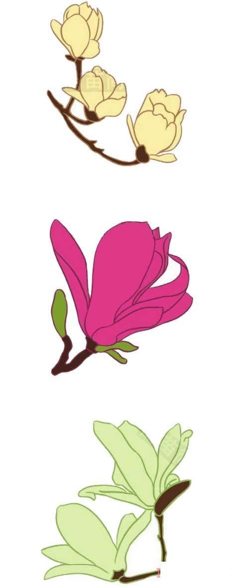 卡通玉兰简笔画彩色