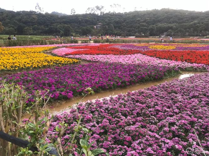 东莞市清溪镇大王山