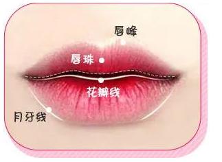 蜜桃m唇花瓣唇桃心唇你选哪种卢九宁院长帮您解答