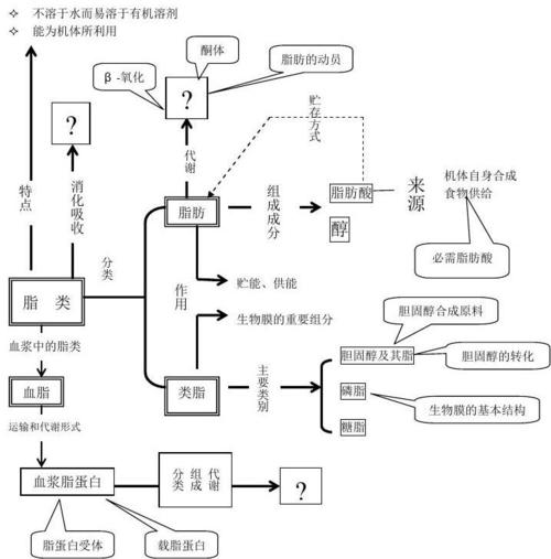 所有分类 生化第七章脂质代谢  浙江大学临川医学 第五章脂类代谢本章