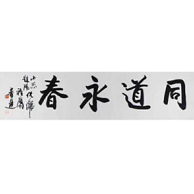 刘普选中国书法家协会理事同道永春a521