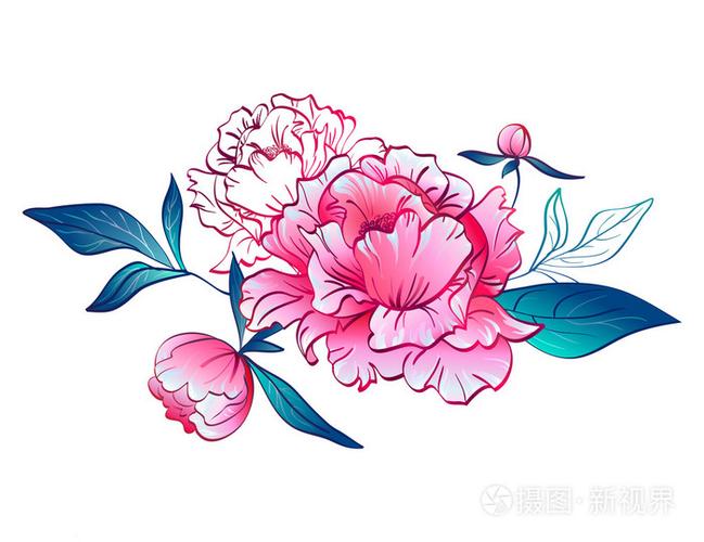 粉红色的牡丹花.白色背景上的矢量图
