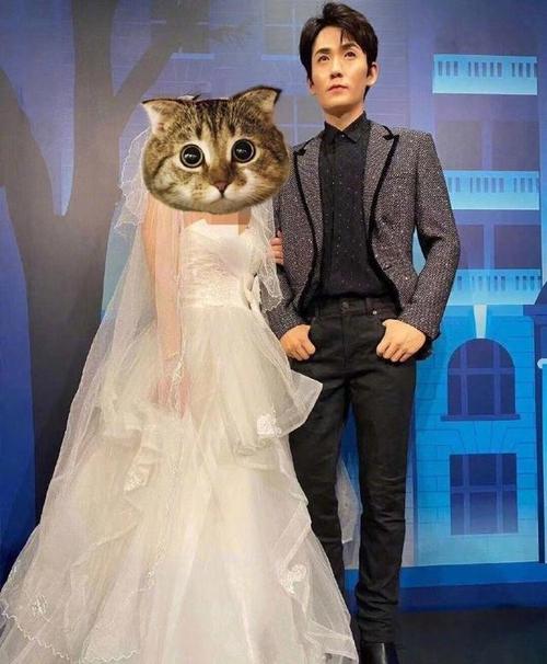 新迷惑行为!追星女孩太疯狂,竟穿婚纱跟朱一龙蜡像合照