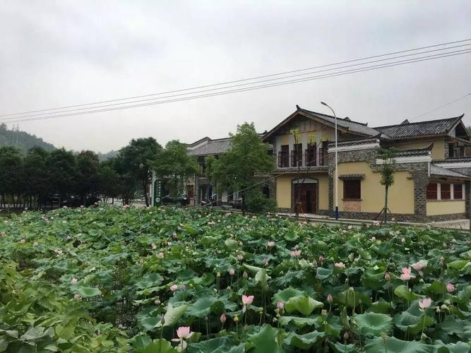 七星村组织活动场所