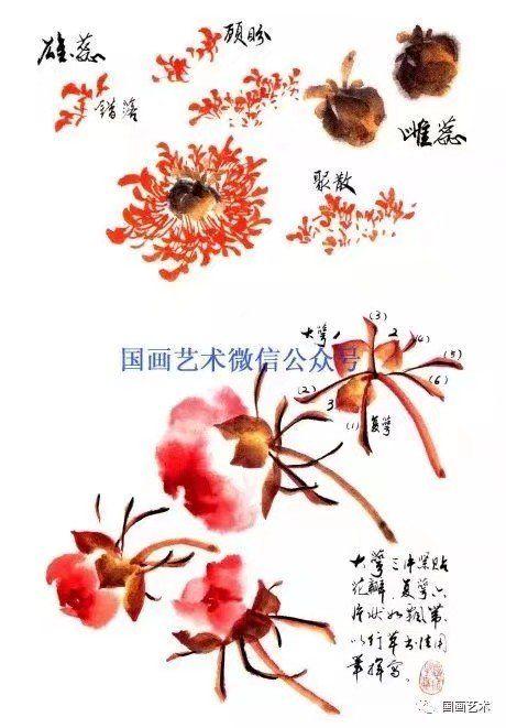 2,花蕊花萼的画法