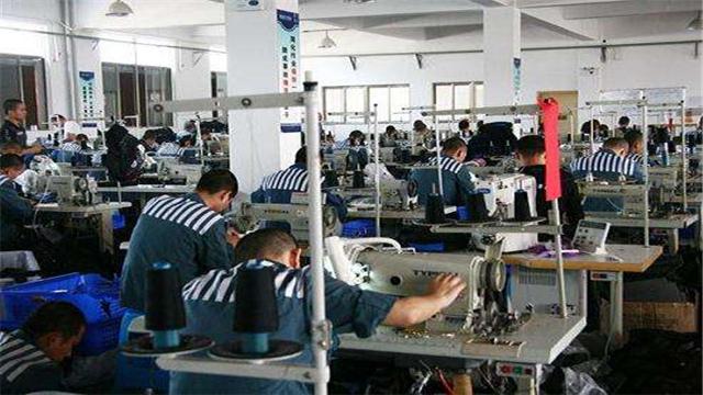 犯人在监狱都干什么活?