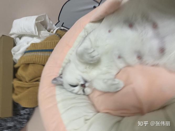 11点半,出现了羊水泡