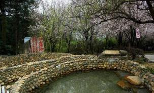 贵阳58团购天邑森林温泉团购 - 【天邑森林单人温泉票】超值特惠~仅88