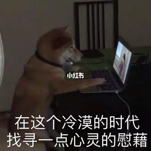 麻了_表情包_素材_表情包