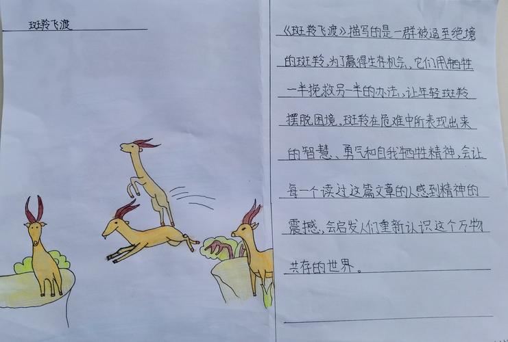 整本书共读2《斑羚飞渡》