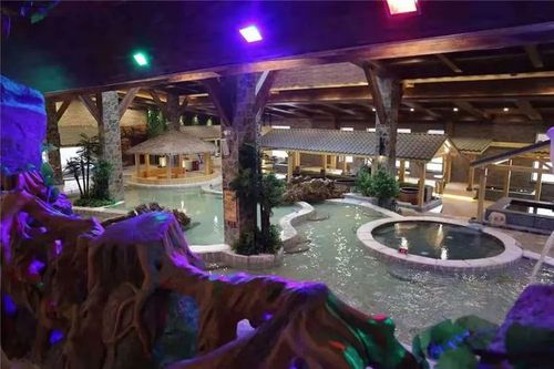 溪溪里温泉洗浴松北大道299元享门市价59元单人门票