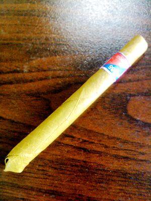 公主还是第一次见到用树叶卷的烟呢,说实话很精致,我想叶子一定是很