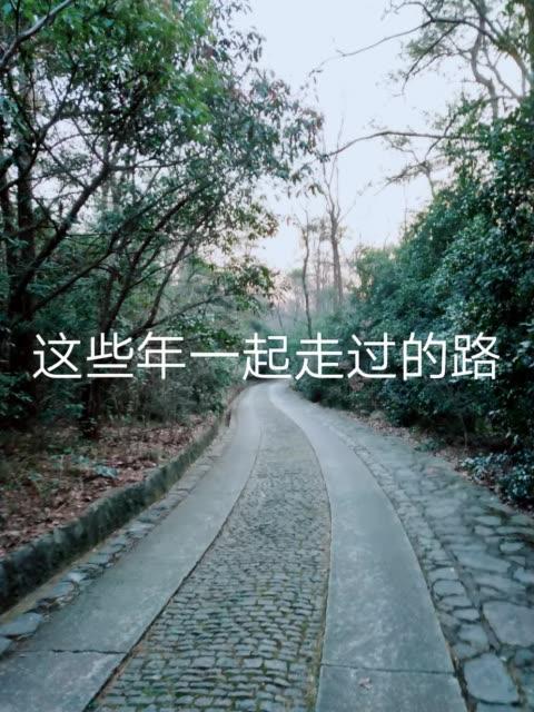 这些年一起走过的路和那些年一起的回忆 5月前