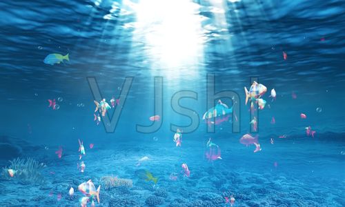 梦幻海底鱼群