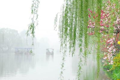 杨柳依依江水生