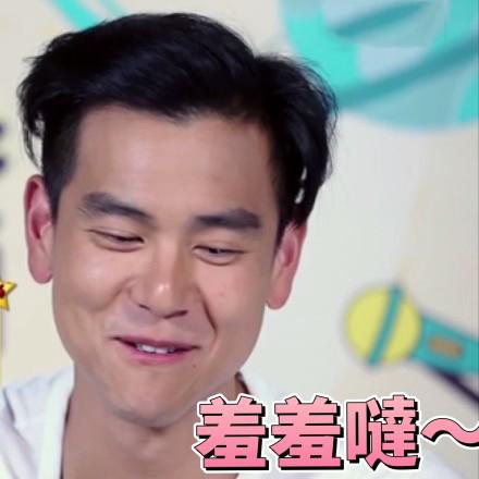 爱豆彭于晏 - 365表情包