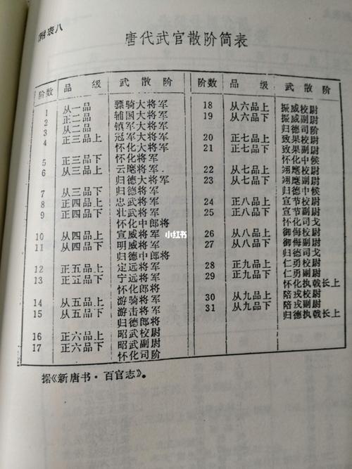 不要被电视剧骗啦唐朝武官官阶是这样的