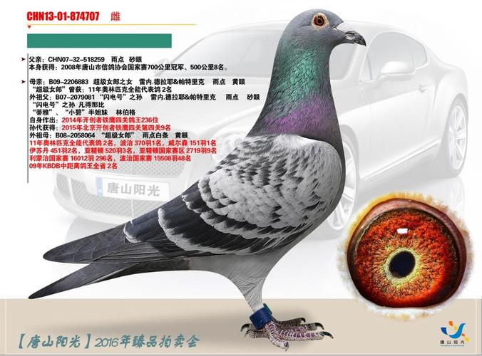 唐山阳光 - 中信网铭鸽展厅 www.ag188.com