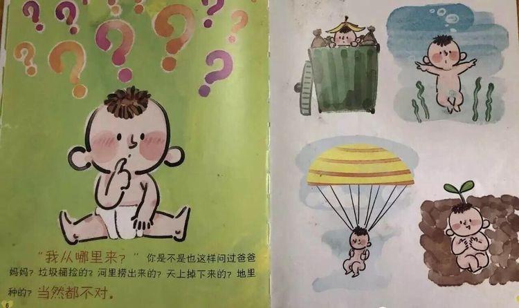 绘本分享一我从哪里来