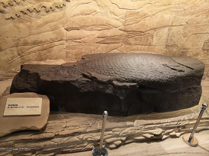 错过一次不能再次错过——涪陵白鹤梁水下博物馆