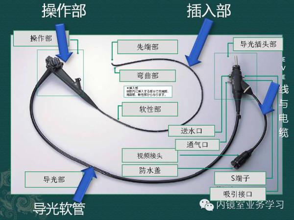 内镜各部位名称示意图