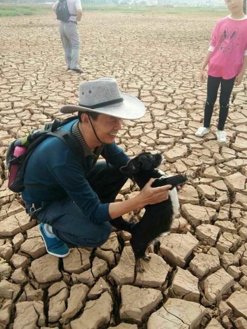 汪星人去泥里逛了几步,"白袜子"换成了"灰袜子",它难过得很,甩也甩不