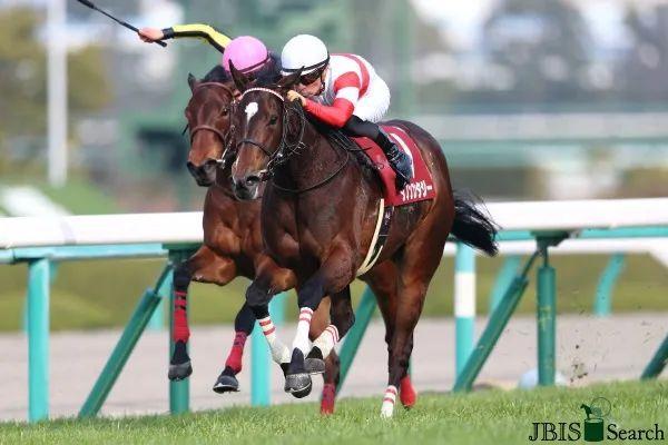 马闻早报丨广东省马术联赛第五站延期墨尔本杯赛马爆发疫情