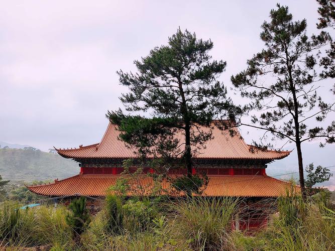 金光闪闪的普照禅寺