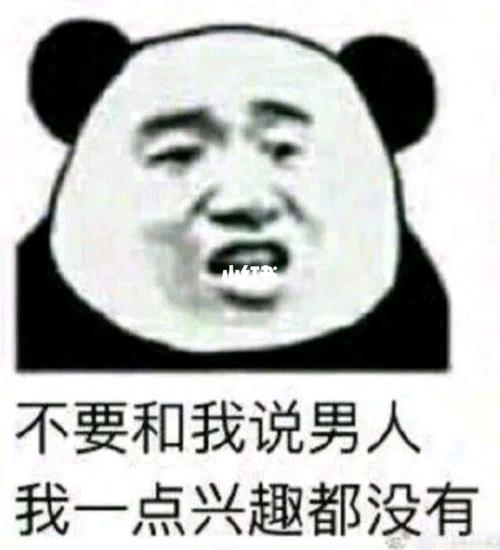 看透男人的表情包_表情包_熊猫_熊猫头表情包_素材