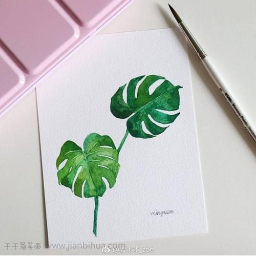 一组叶子水彩画