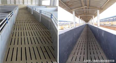 猪舍水泥漏粪地板实景