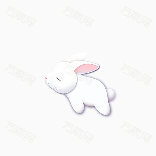 玉兔兔子