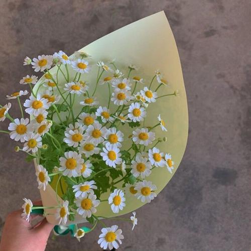 朋友圈背景图 好运模式已开始